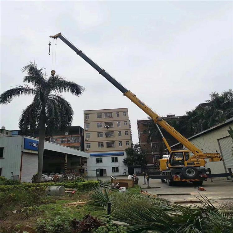 鹿寨吊车吊大树几种方法